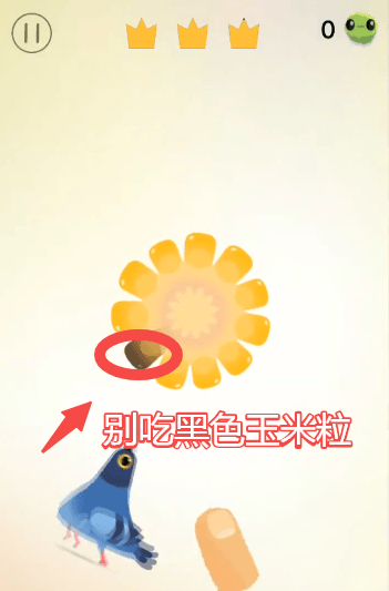 疯狂的鸽子游戏官方版(Pigeon) v1.2.5 中文版 全三星攻略配图1
