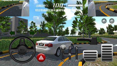 疯狂考驾照游戏 v1.1.1安卓版