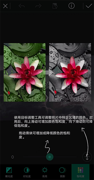 相片大师app v20.11.3安卓版
