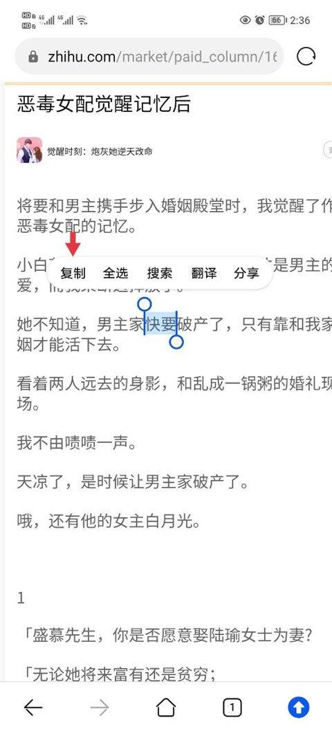 知乎小说app v10.89.0安卓版