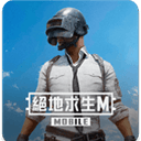 绝地求生台服官方正版下载 v4.1.0安卓版