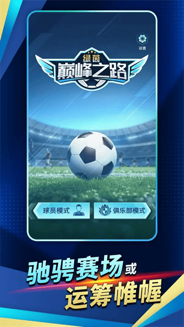 绿茵巅峰之路游戏