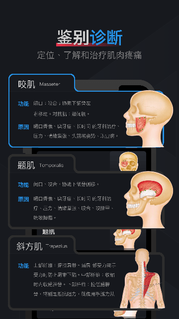 肌肉激痛点图谱软件下载v1.2 安卓版