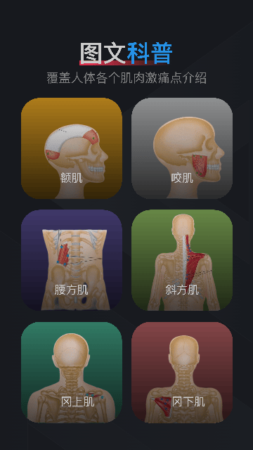 肌肉激痛点图谱软件下载v1.2 安卓版