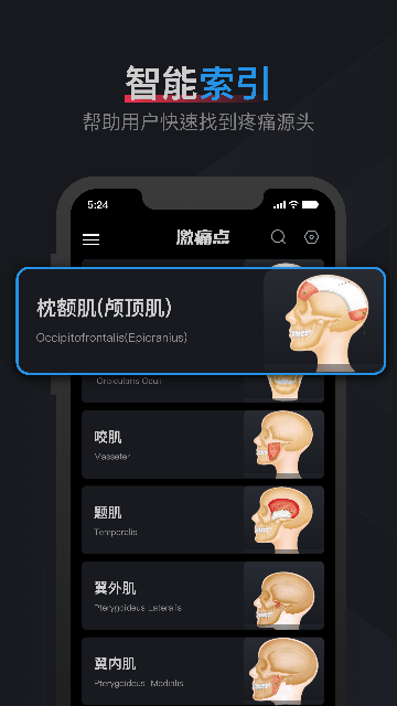 肌肉激痛点图谱软件下载v1.2 安卓版