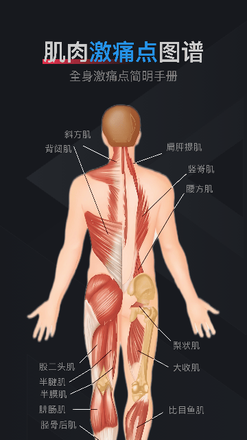 肌肉激痛点图谱软件下载v1.2 安卓版