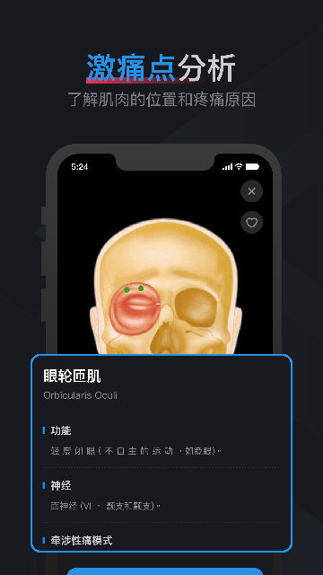 肌肉激痛点图谱软件下载v1.2 安卓版