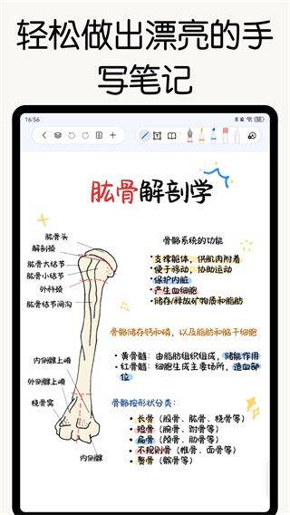 自由笔记安卓版下载 自由笔记安卓版下载