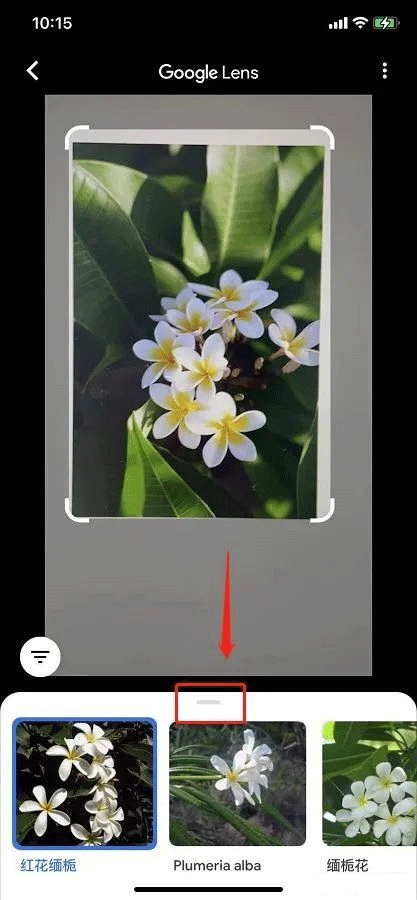 谷歌智能镜头app安卓最新版(支持翻译) v1.18.250731009官方版