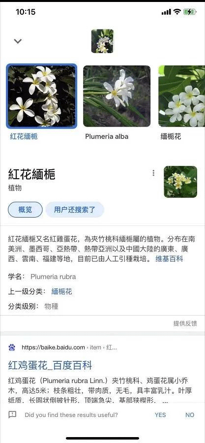 谷歌智能镜头app安卓最新版(支持翻译) v1.18.250731009官方版