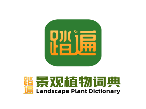 踏遍景观植物词典APP