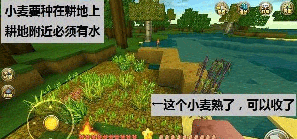 迷你世界最新版本2026正版 v1.55.3安卓版