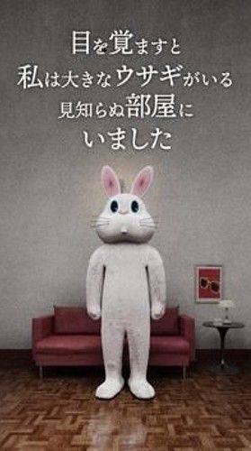 逃脱游戏兔子房间正版最新(RABBIT ROOM) v1.0.5 安卓版 逃脱游戏兔子房间正版最新(RABBIT ROOM) v1.0.5 安卓版