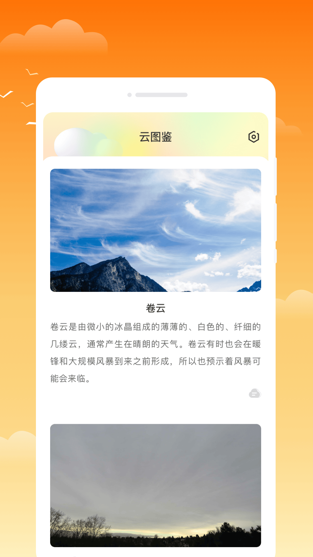 金麦天气app v1.0.1 安卓版