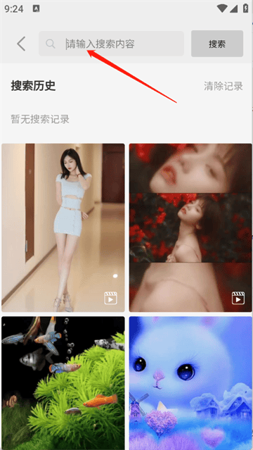 随心手机壁纸app 随心手机壁纸app