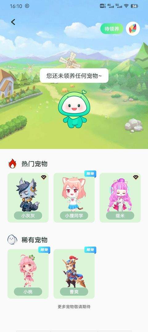 飞火动态壁纸手机版 v2.2.13安卓版