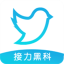 飞鸟下载器app v3.97安卓版
