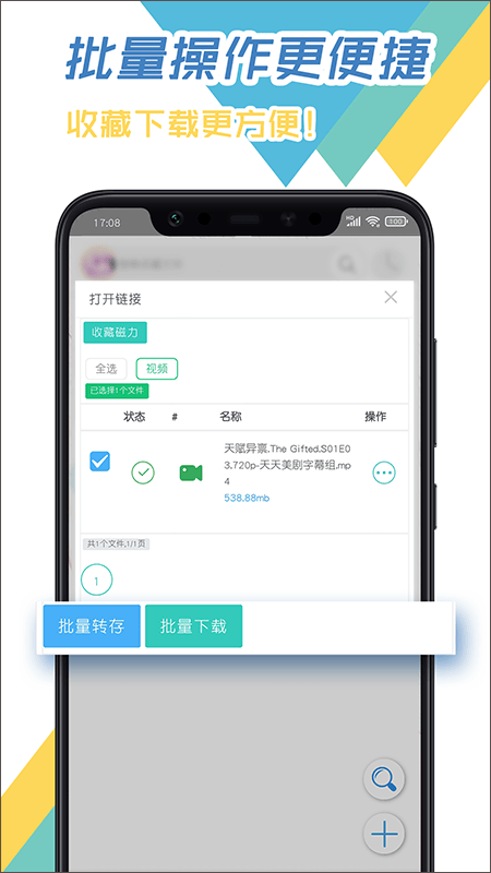 飞鸟下载器app v3.97安卓版