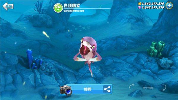 饥饿鲨世界国际服正版(Hungry Shark World) v7.5.7安卓版