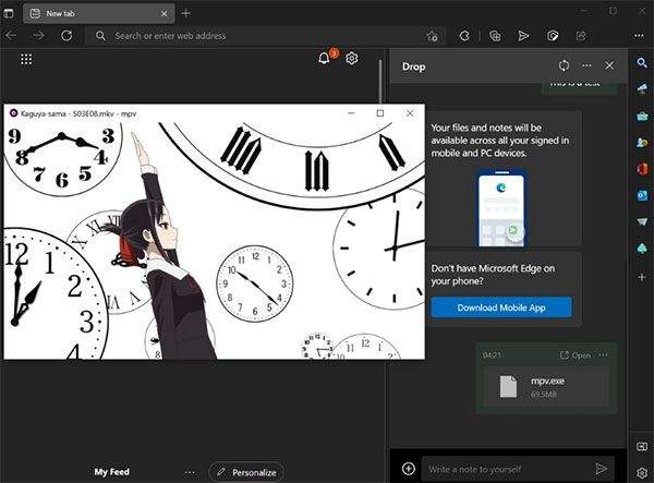 edge浏览器预览版 v148.0.3967.34安卓版