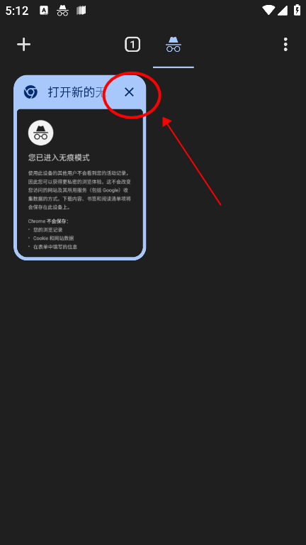 google浏览器安卓版 v138.0.7204.179手机版
