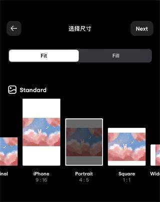 Instasize修图神器 v5.4.0安卓版