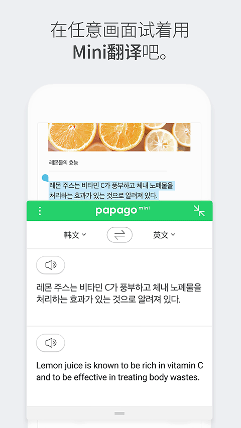 NaverPapago官方app v1.11.12安卓版
