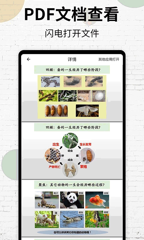 PDF阅读器手机版 v20安卓版