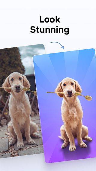 photoroom安卓版 v2026.15.01最新版