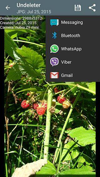 Undeleter安卓版 v5.5官方版