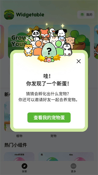 Widgetable安卓中文版 v4.0.160官方版